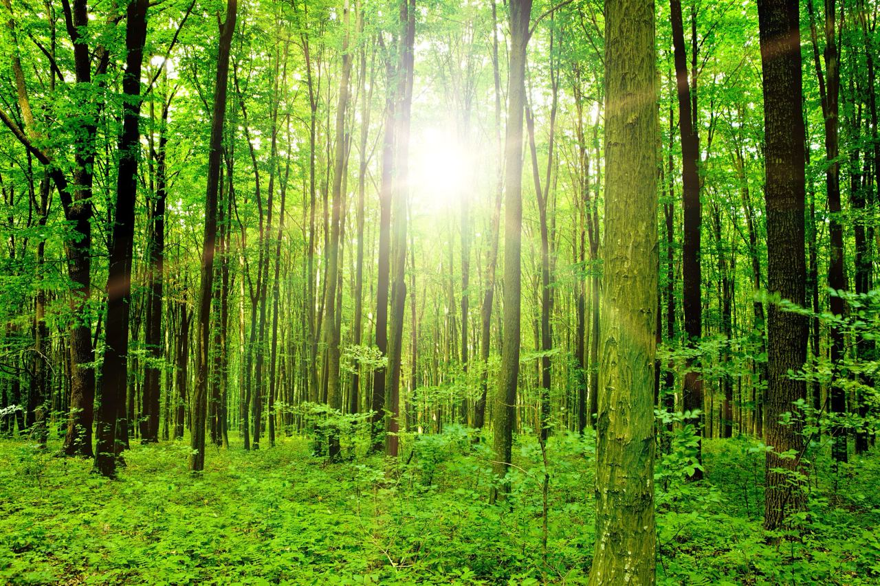 Brauchst du eine Auszeit in der Natur?