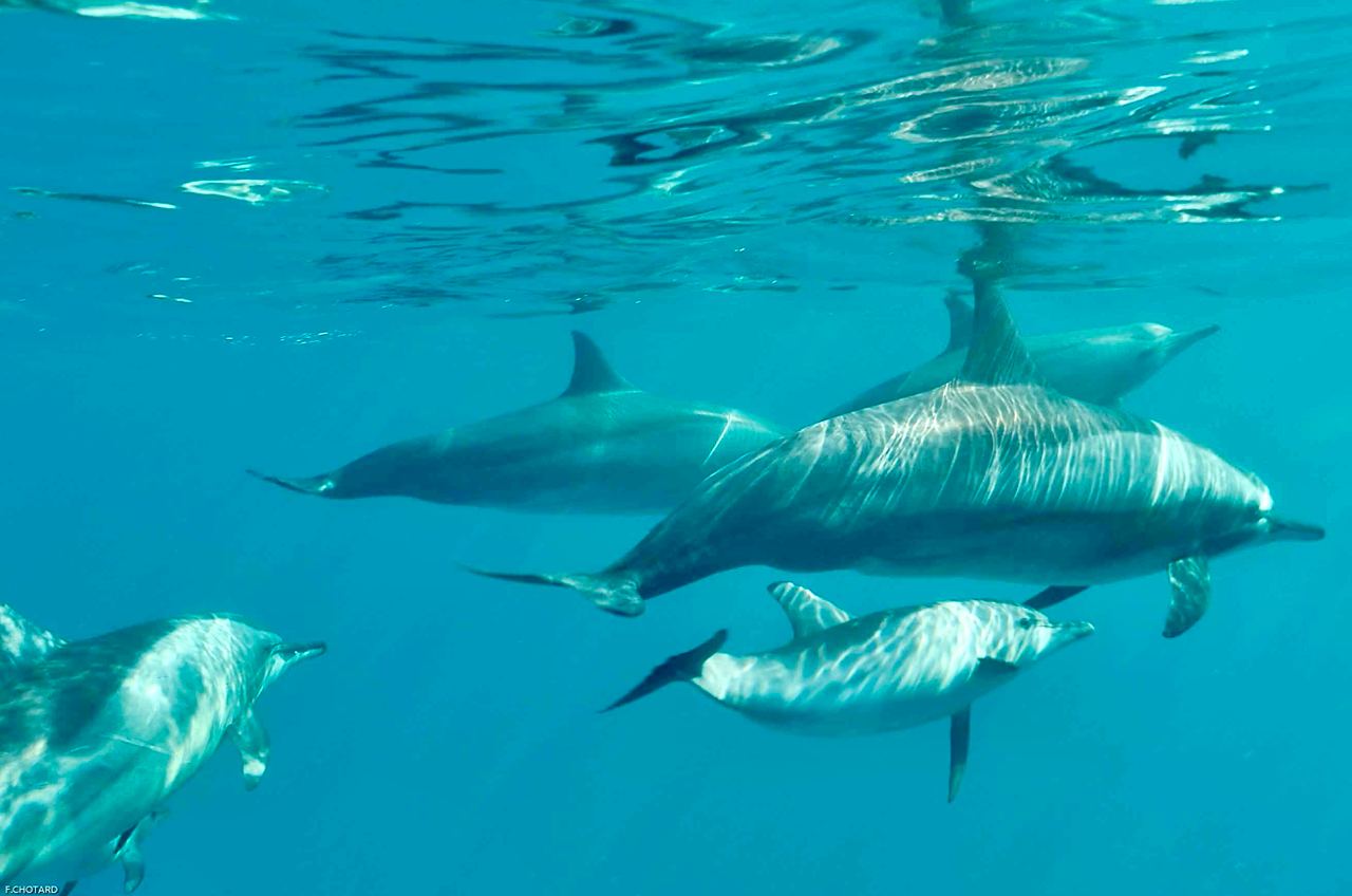 Zusatzkurs, wegen grosser Nachfrage (max. 6 Plätze):