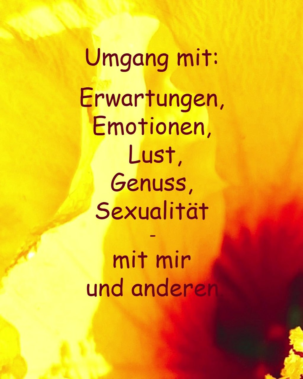 Warum Menschen in meine Begleitungen kommen 💗 .