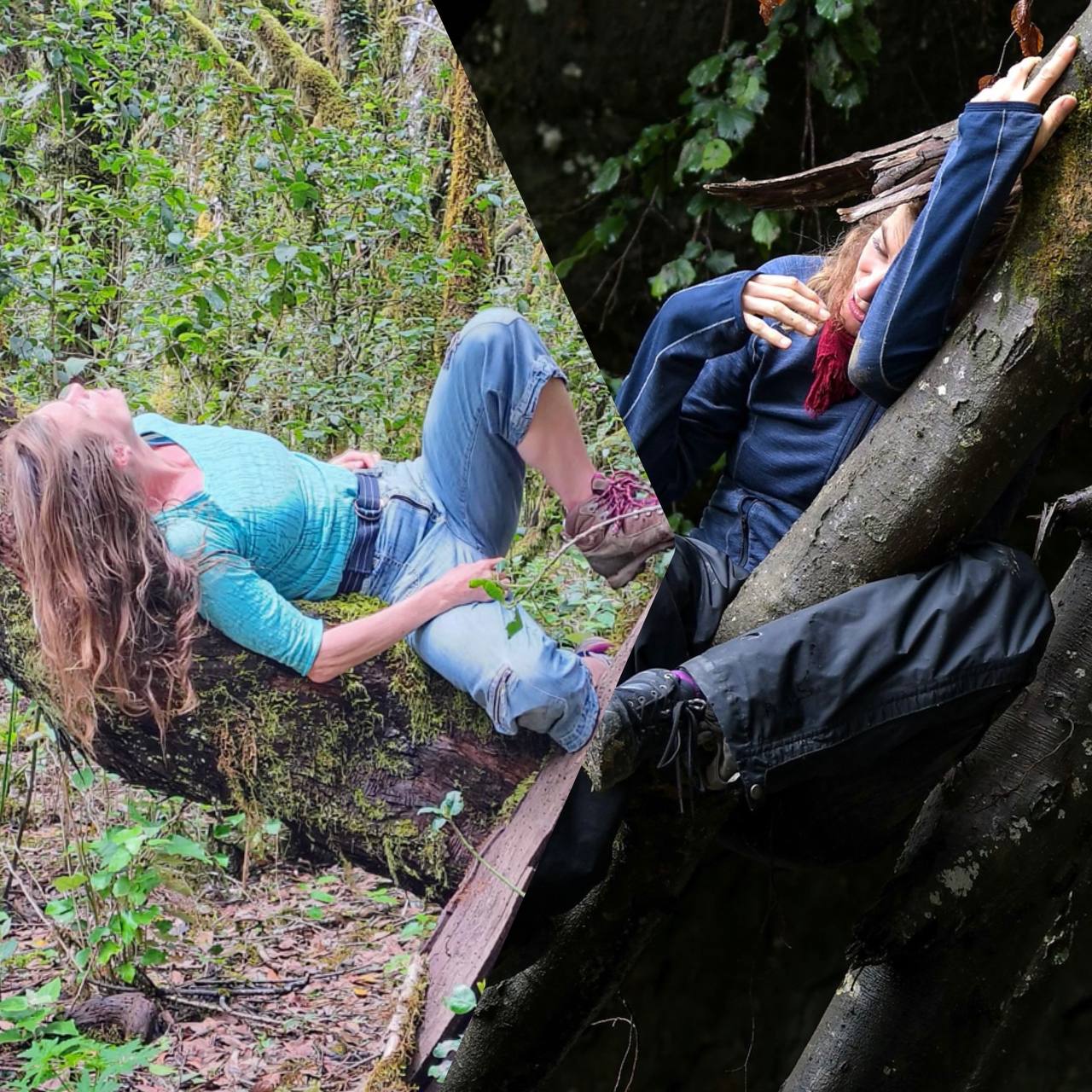 Dance/ Contact improvisation in nature combinée with easy hiking. You can sleep 