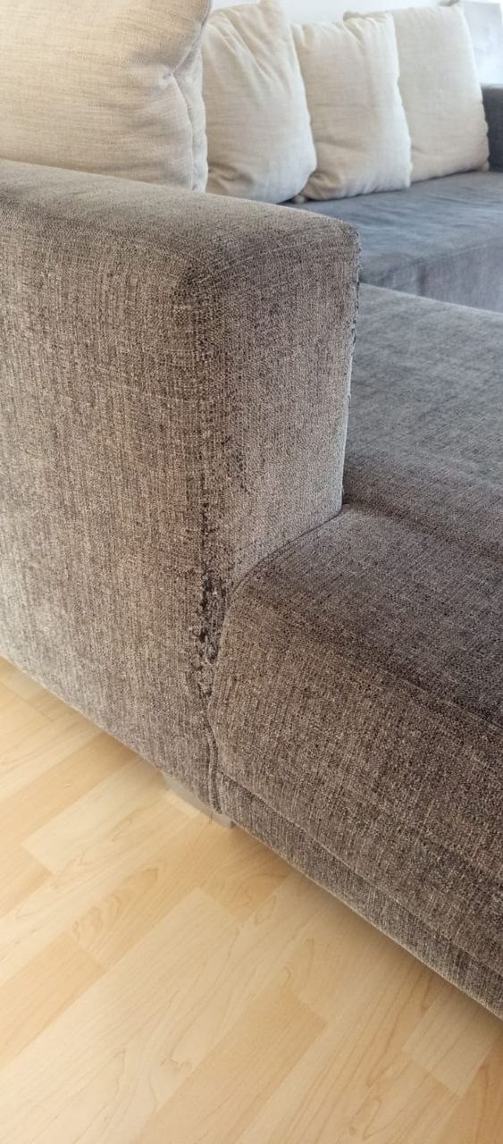 Zu verschenken. In Dietikon abzuholen.