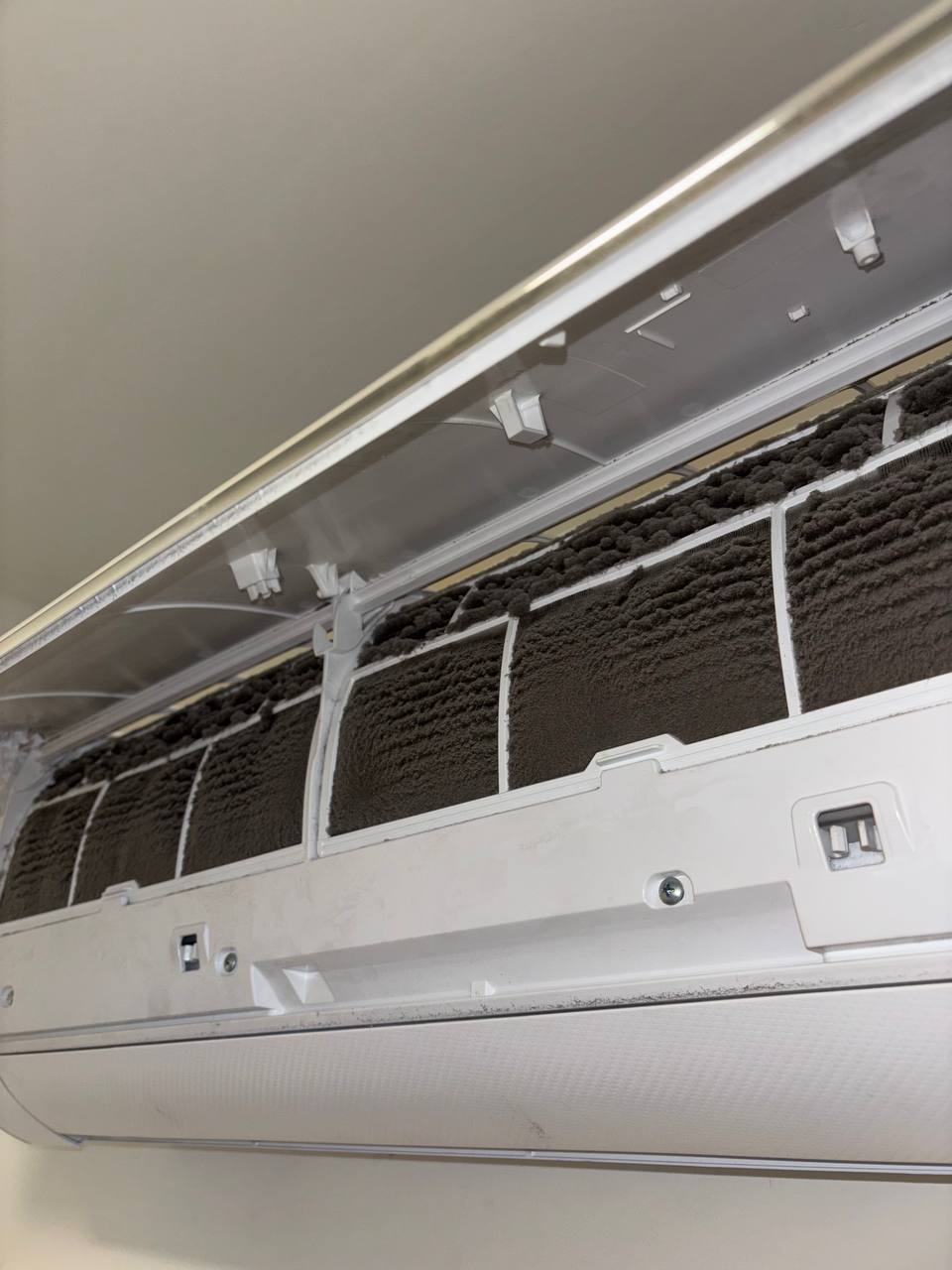 Весна — время обновления.