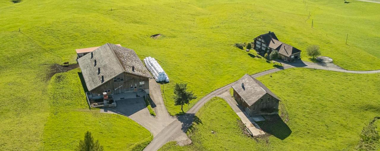 Bist du Meisterbäuerin oder Meisterbauer, Landwirtin EFZ oder Landwirt EFZ und m