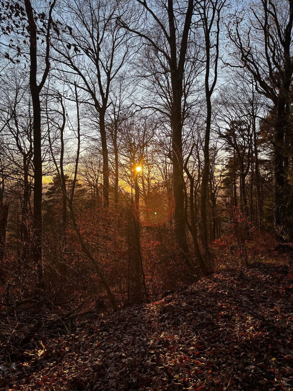 E I N L A D U N G     Familienstellen    Embrach