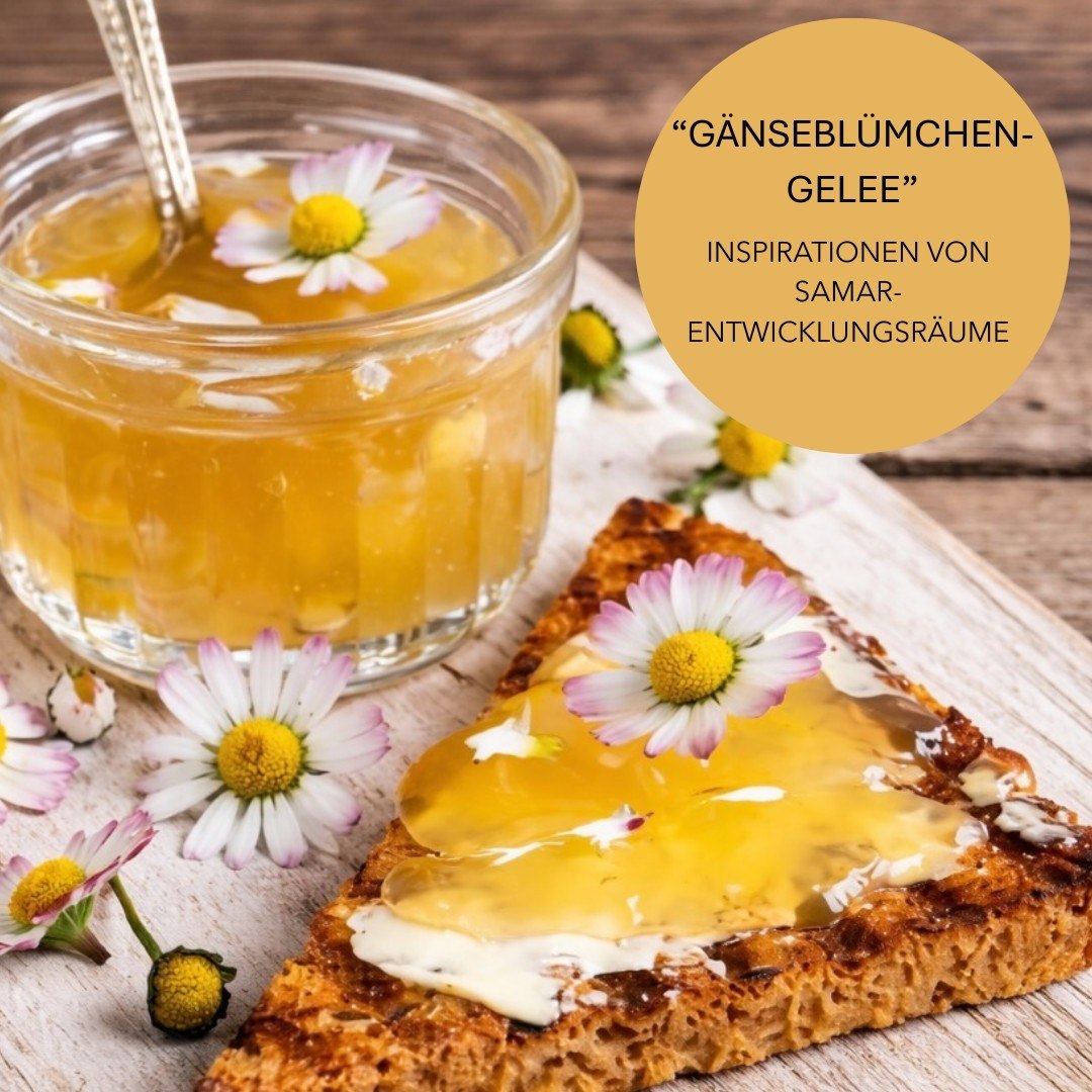 Gänseblümchen-Gelee – Frühling im Glas 🌼✨