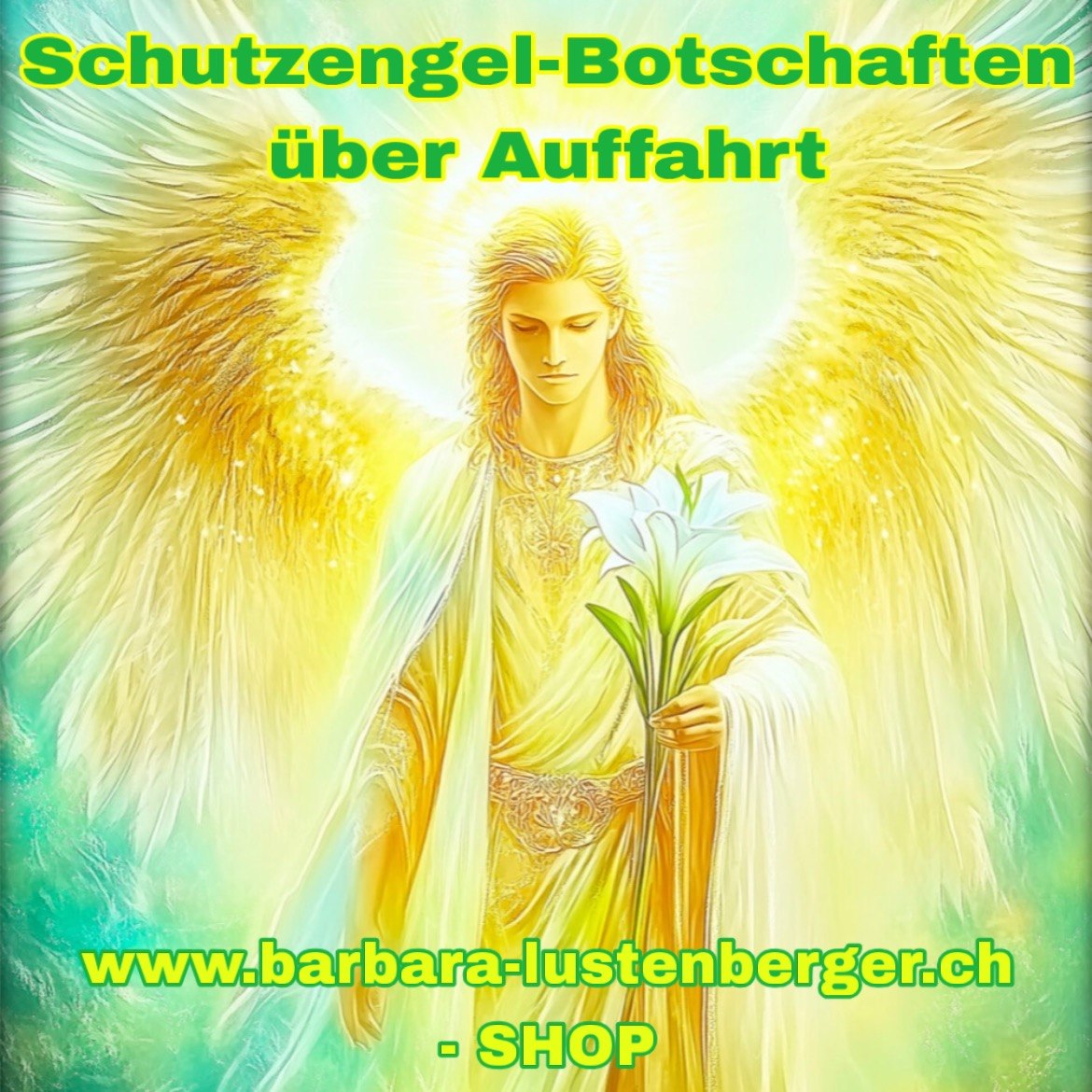 Empfange jeden Morgen über Auffahrt eine persönliche Schutzengel-Botschaft à 10m