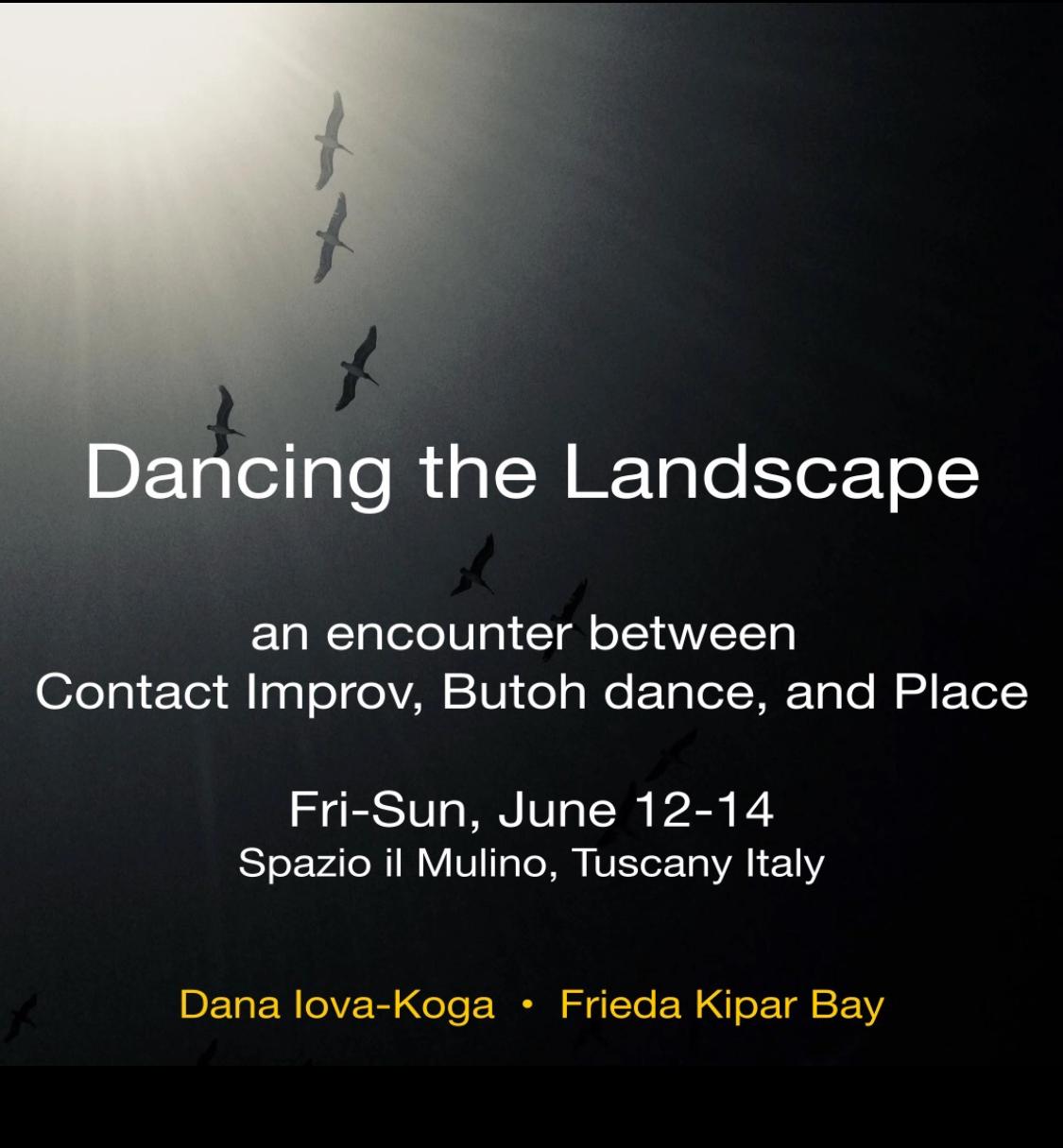 Dancing the Landscape