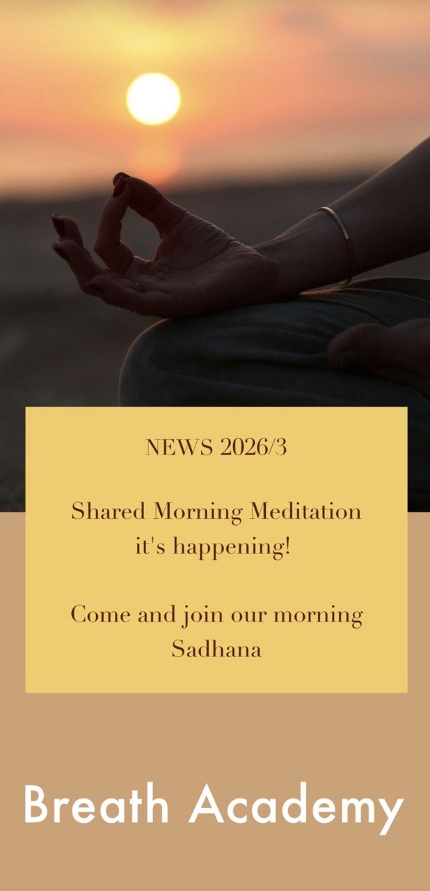 hey you 🐍💫💥