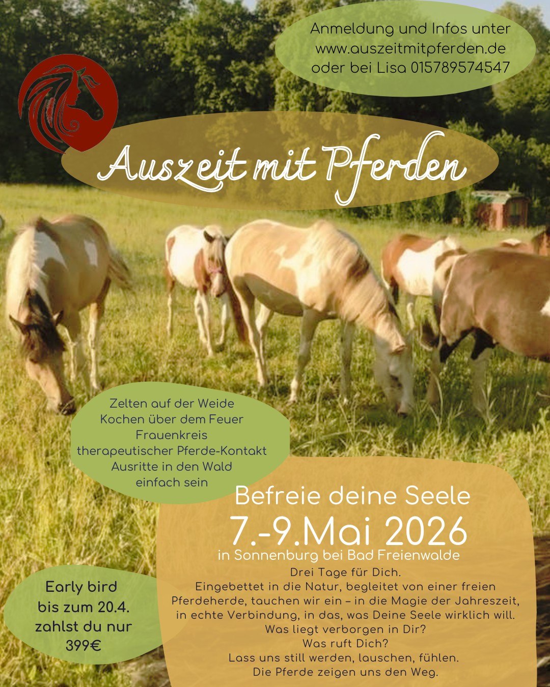 Im Mai findet wieder unsere Auszeit mit Pferden statt – vielleicht genau der ric