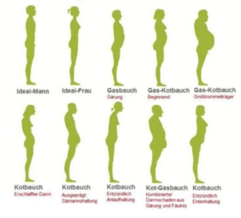 DIAGNOSTIK DER GESUNDHEIT" machsch scho Bauchwellness???