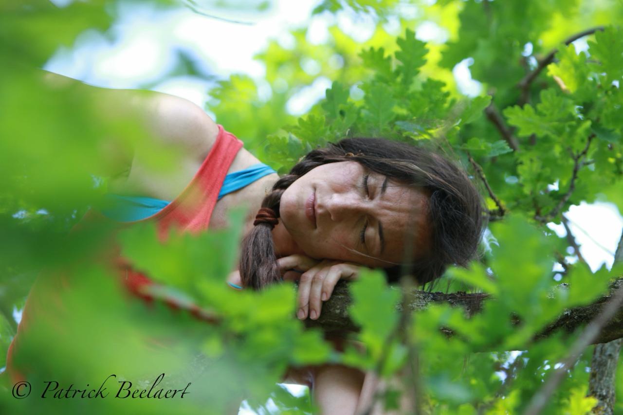 Pfingsten Oberallgäu: Verkörperte NeuroEmotionale Integration (VNI)