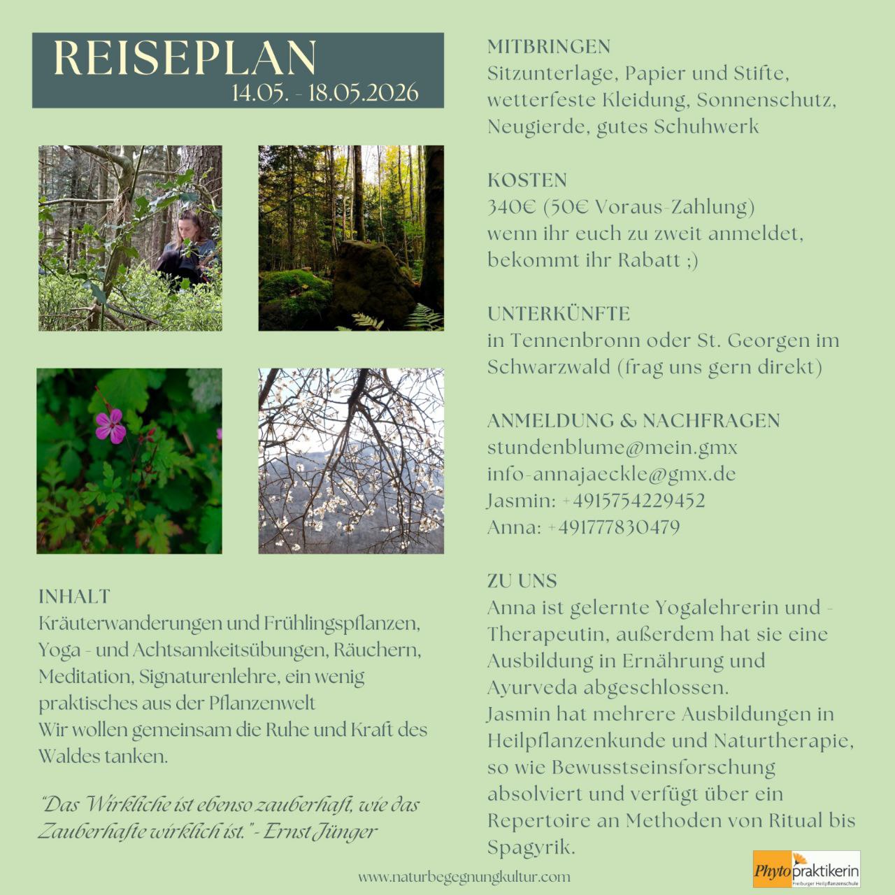 In unserem Seminar erwartet dich: