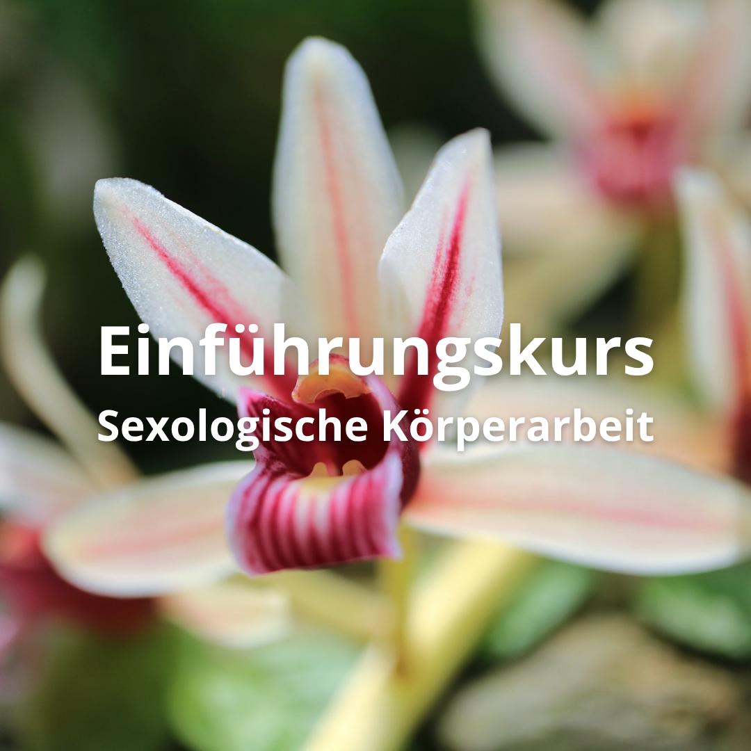 Die Reise zur eigenen Körperweisheit