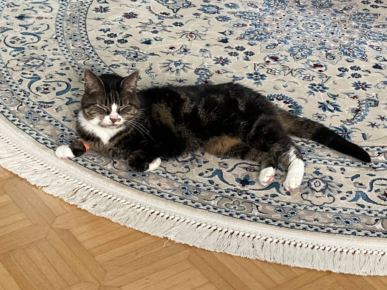 Gibt es eine ältere, alleinstehende Frau, die während unserer Ferien für 10 Tage