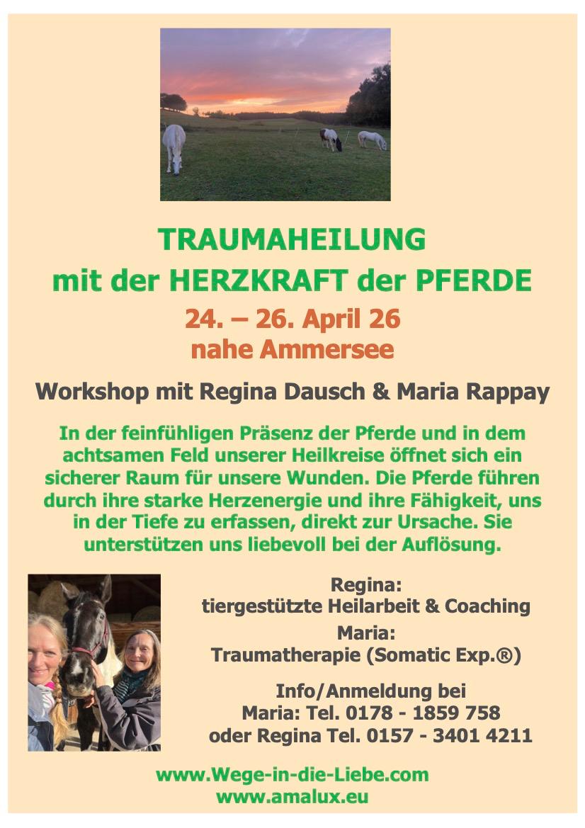 Pferde tragen eine große Herzens-Heilkraft in sich. Allein in ihrer Nähe regulie