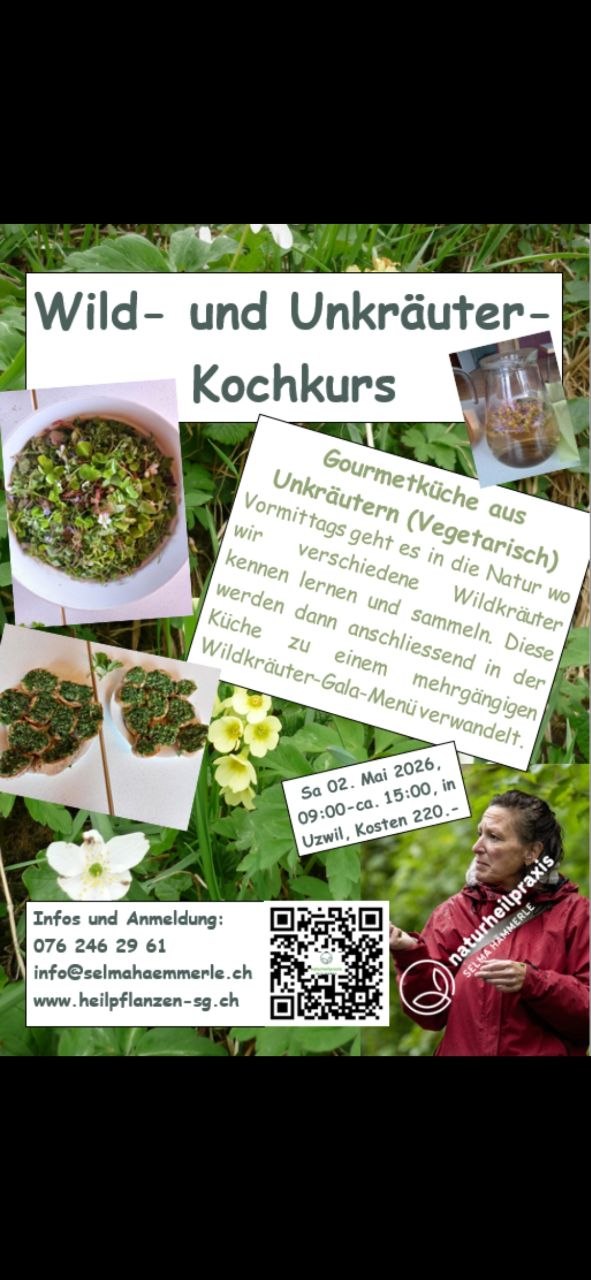 Wegen einer Absage sind wieder Plätze frei geworden: Magst Du mit mir in die Wel