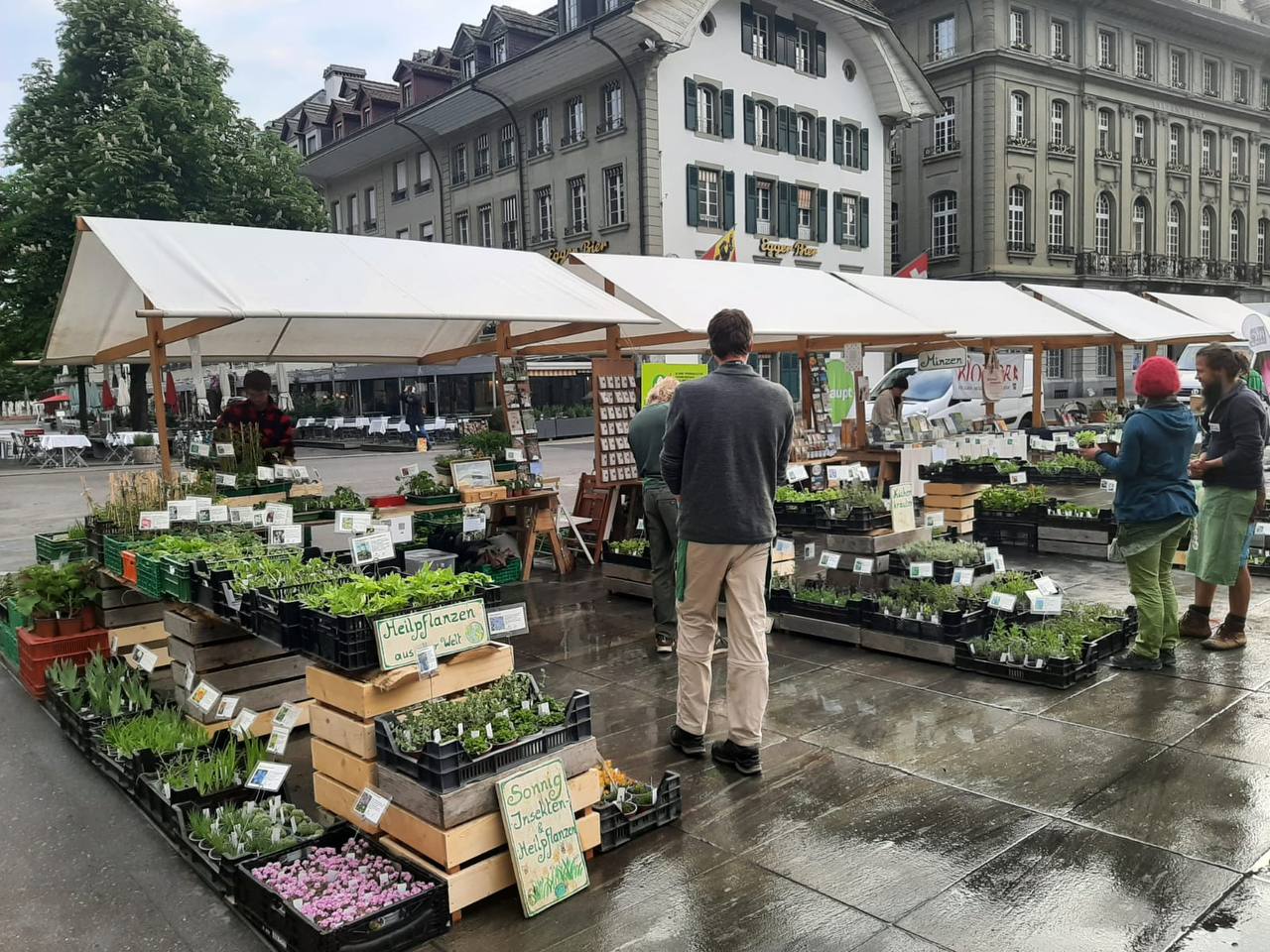The Alpine Permakultur Schweibenalp team is at Bundesplatz in Bern with their pl