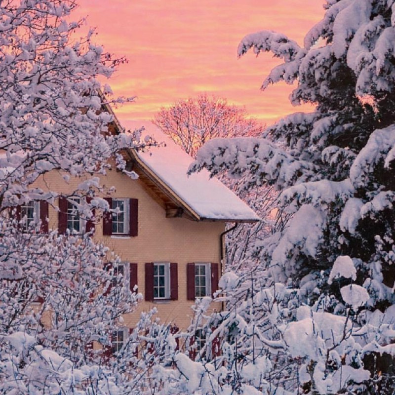 Als Individualgast eine Auszeit im Zentrum der Einheit Schweibenalp bei Brienz e