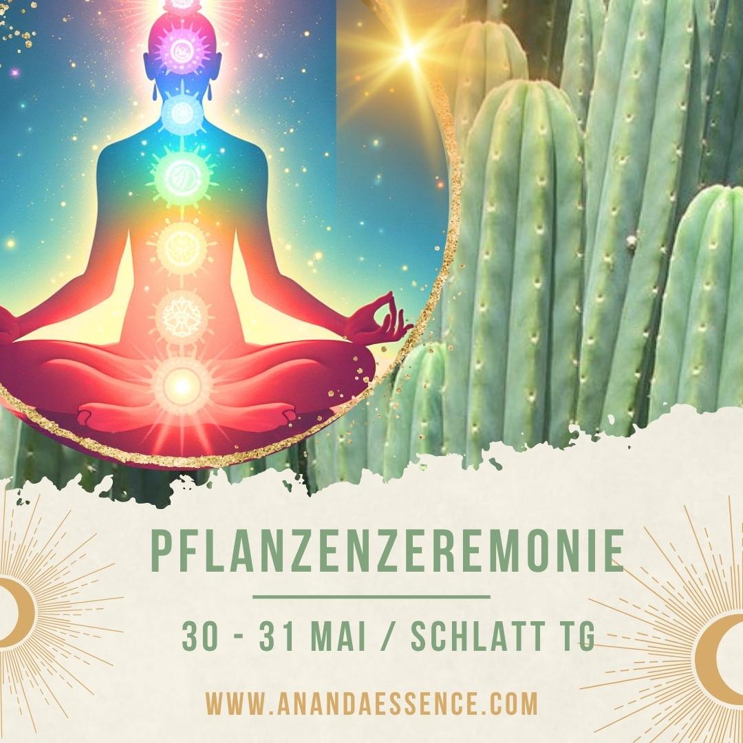 INNERE KLARHEIT IN BEWEGTEN ZEITEN- DIE KRAFT DER PFLANZENZEREMONIE