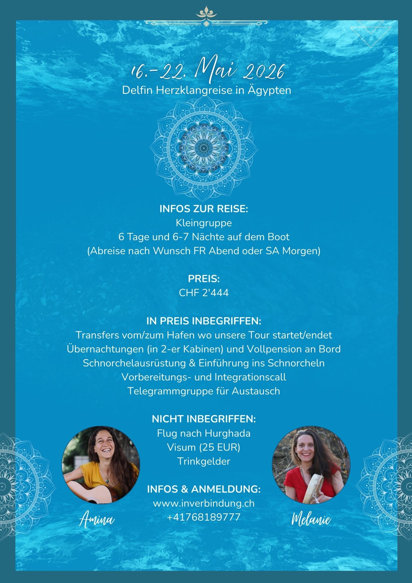 Delfinreise im Mai 🐬