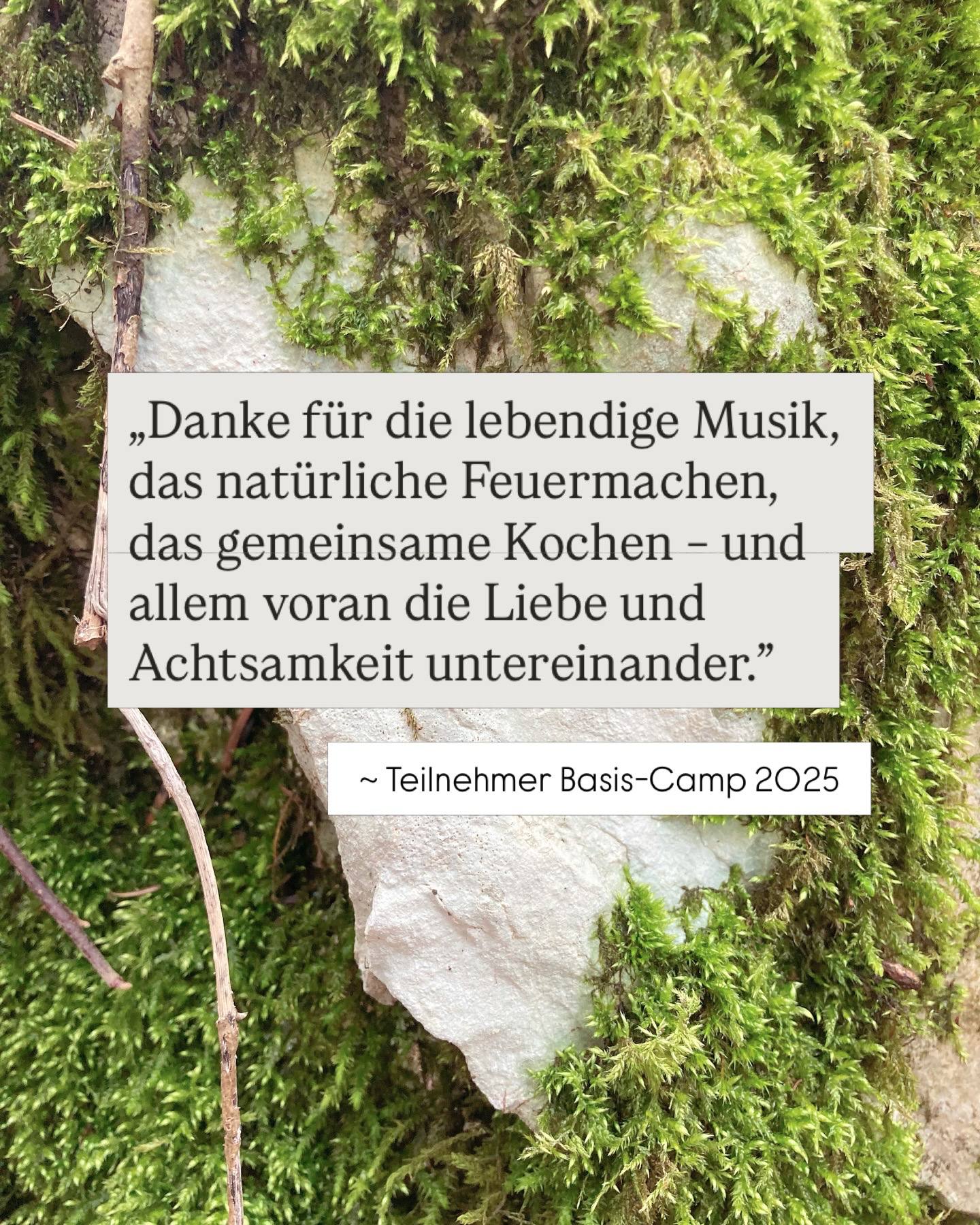 Diese 4 Tage sind der direkteste Weg in eine lebendige Beziehung zu Amanita Musc