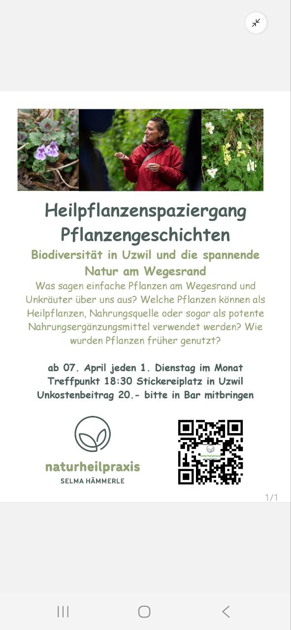 Di 7.4. starten meine Heilpflanzenspaziergänge. Ich freue mich Euch die Pflanzen