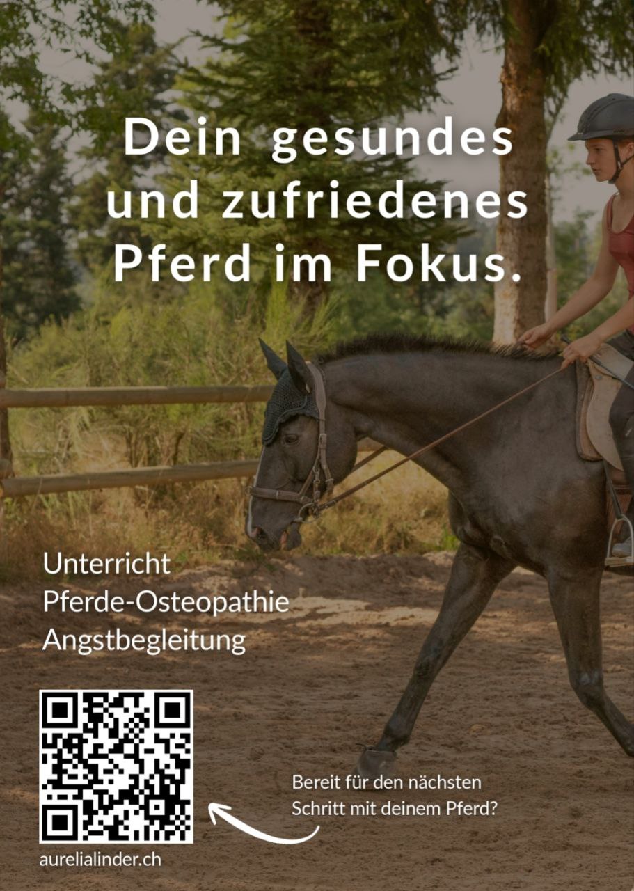 Darf gerne an Pferdebesitzer,  ReiterInnen und Pferdebegeisterte geteilt werden☺