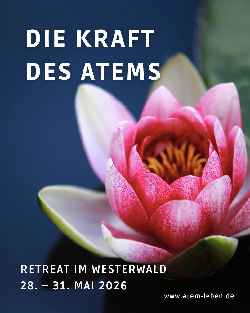 Hallo du lieber Mensch,