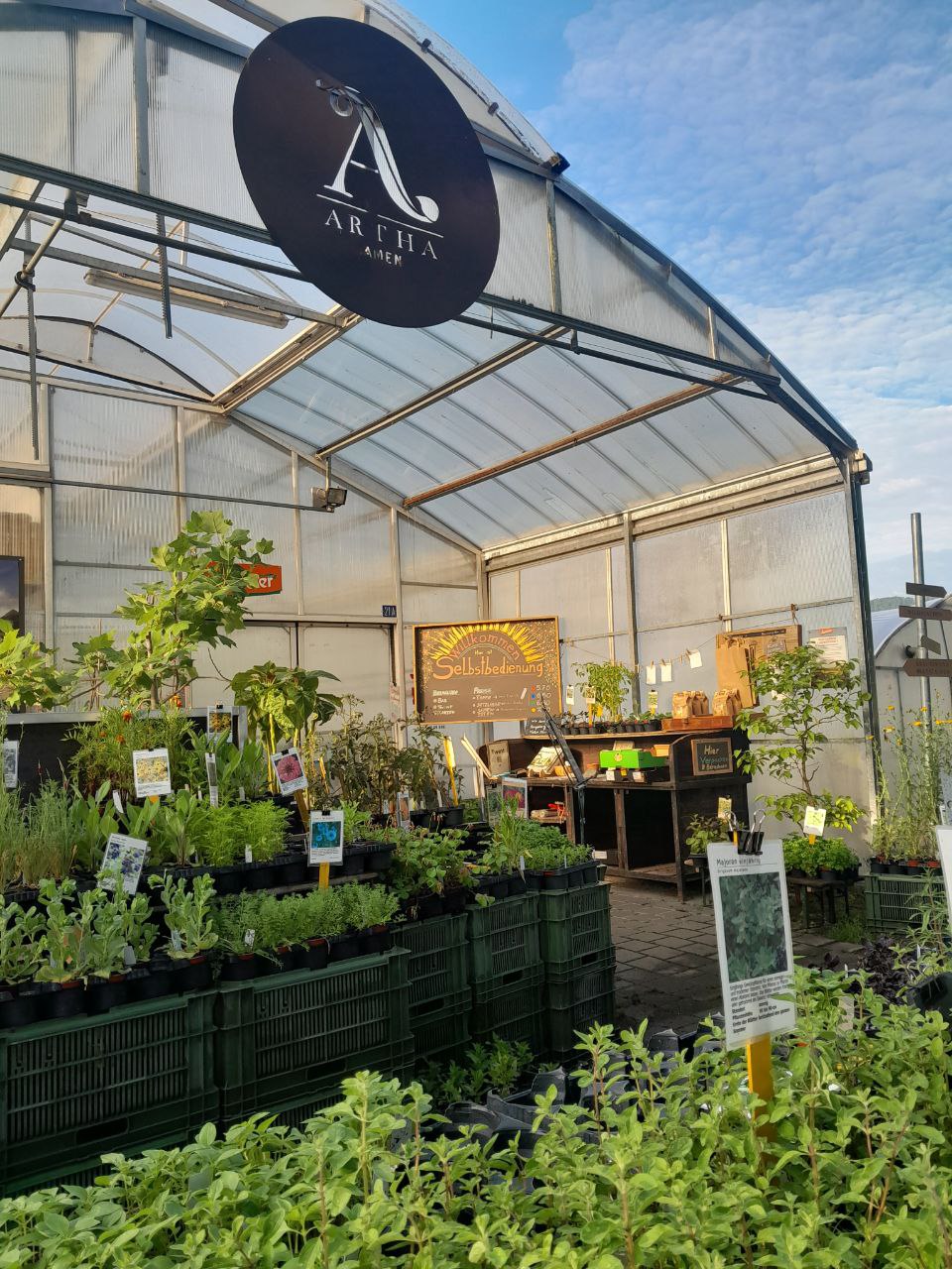 Magst Du für ein Kleines Gätnerei- Team Kochen am Mittag?