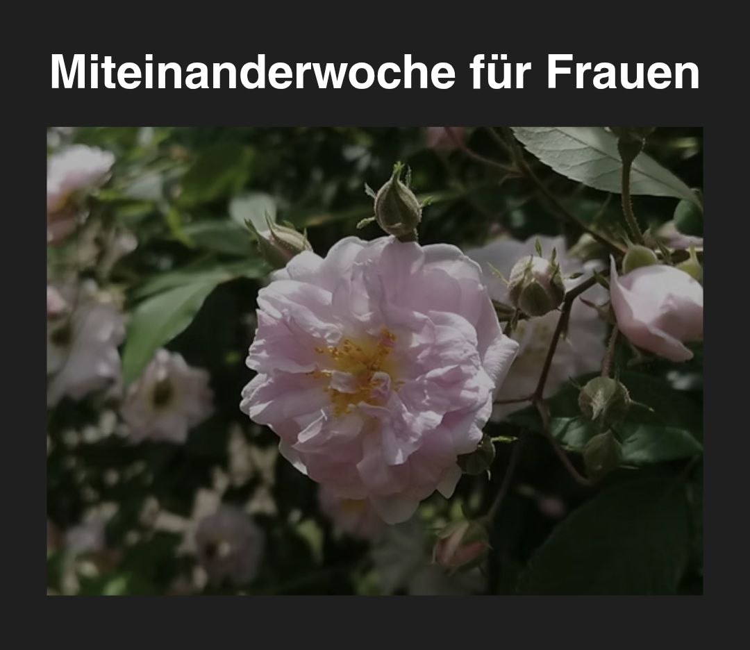 Zusammenkommen im magischen Maggiatal vom 20.-24.04.2026.