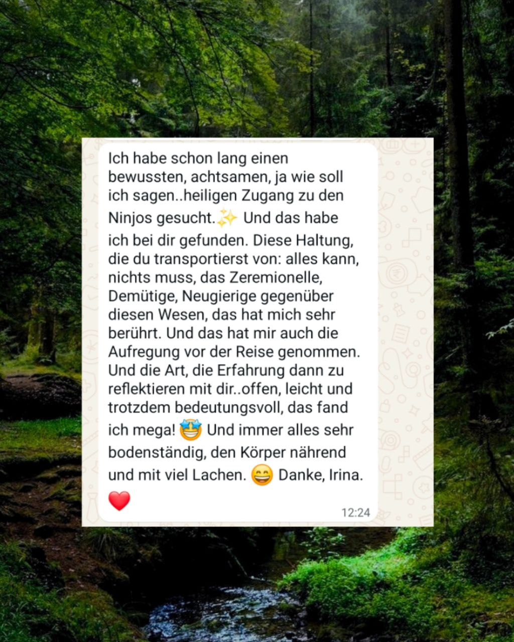 WILDERNESS RETREAT🌲