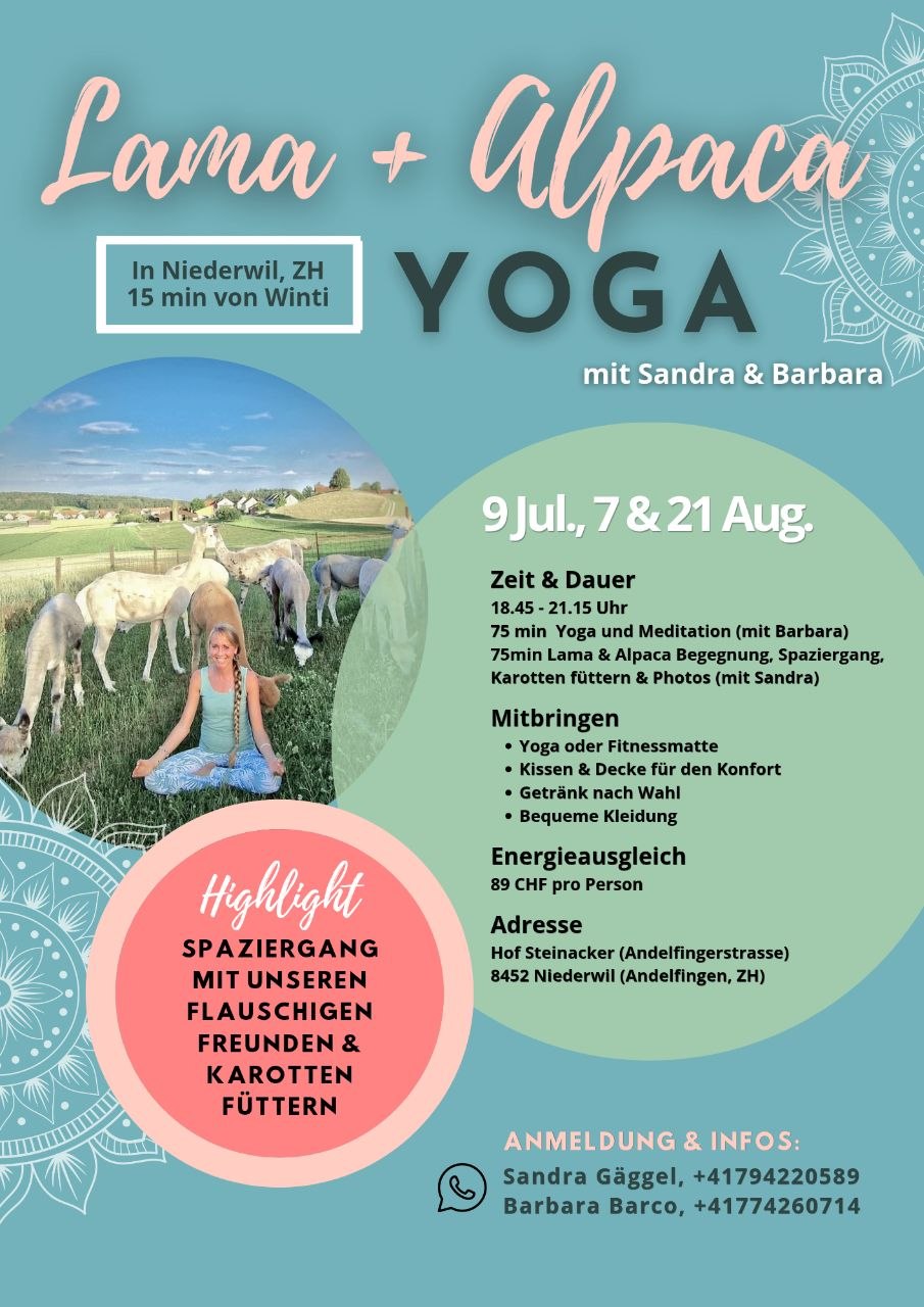 Lama & Alpaka Yoga in Niederwil ZH 🧘‍♀️