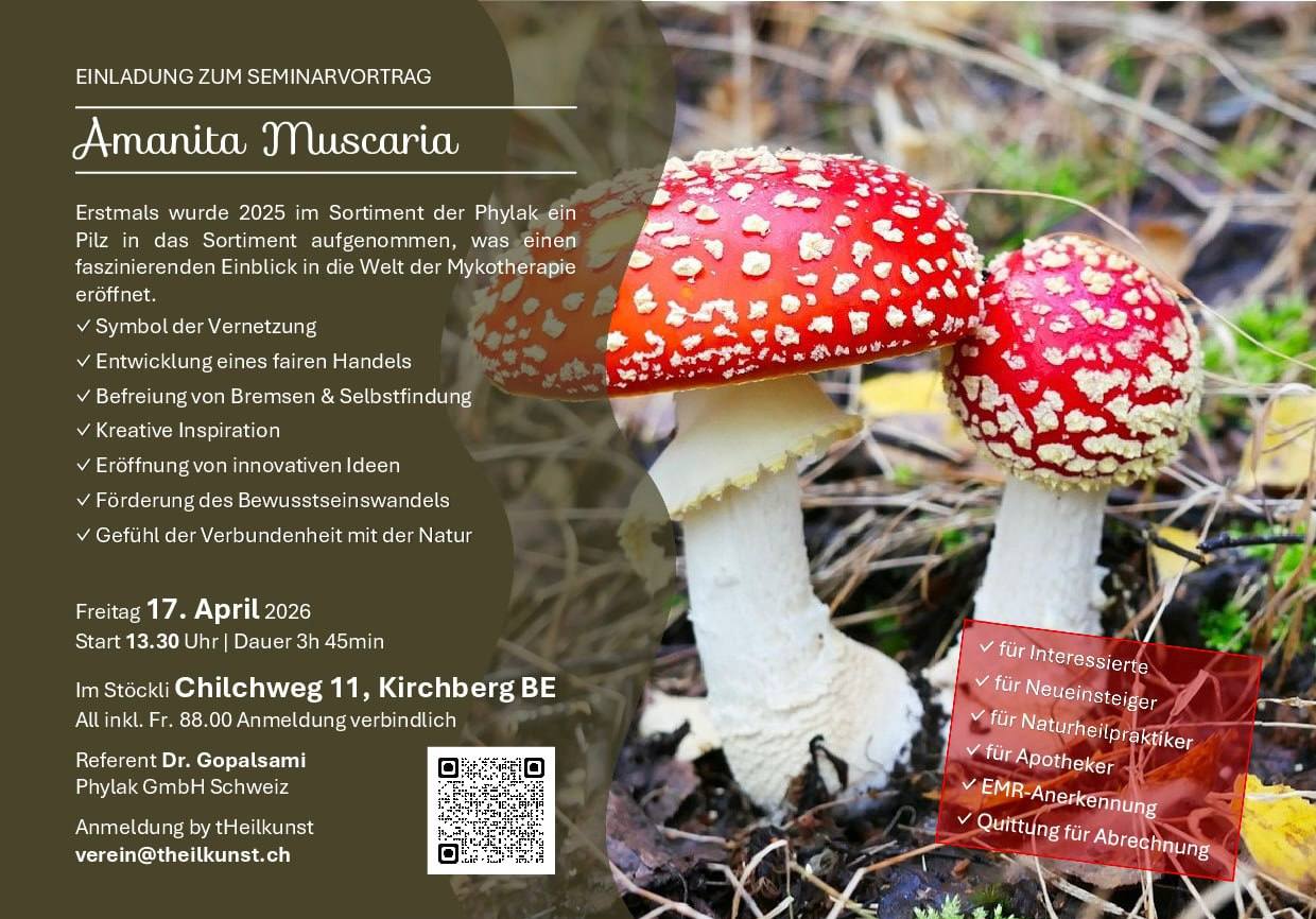 Liebe Seminarbesucher/innen🍄