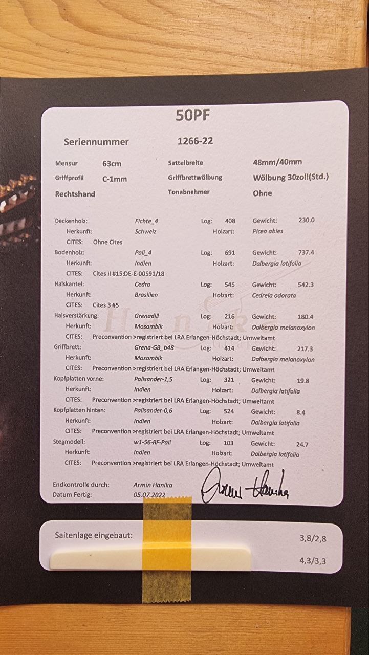 I sell my beautyful Hanika Guitar.