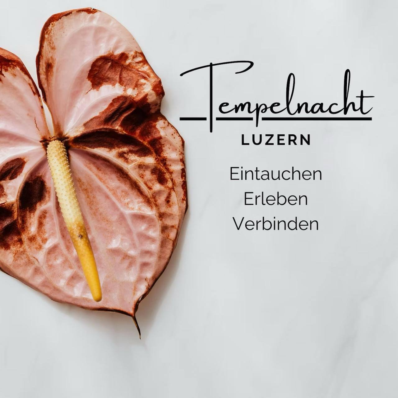 Tempelnacht Luzern – Tempel der Fülle & Sinnlichkeit