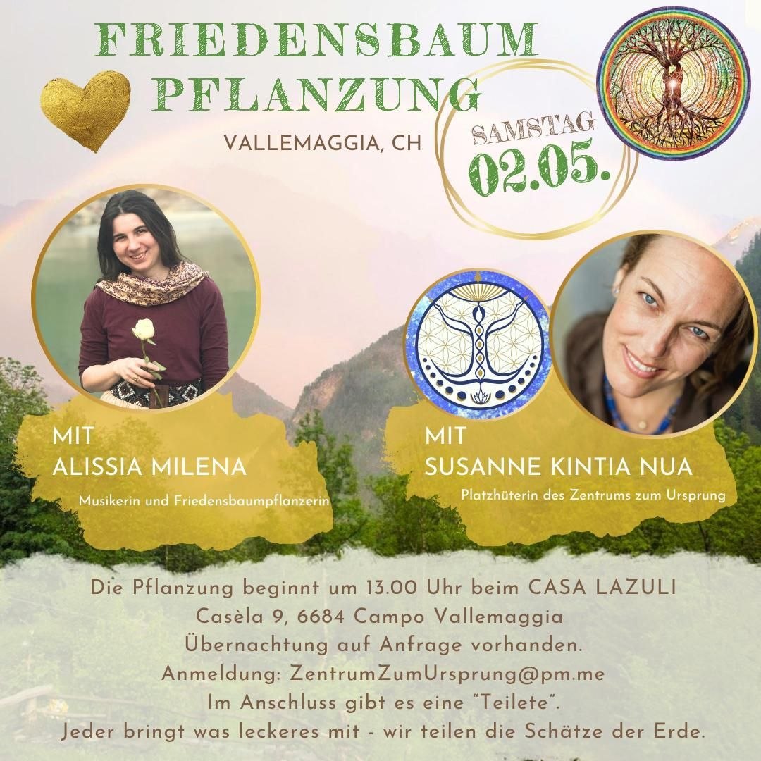 Ein herzliches Willkommen 🙏🏼🤍🌺🌱🌳🌈✨