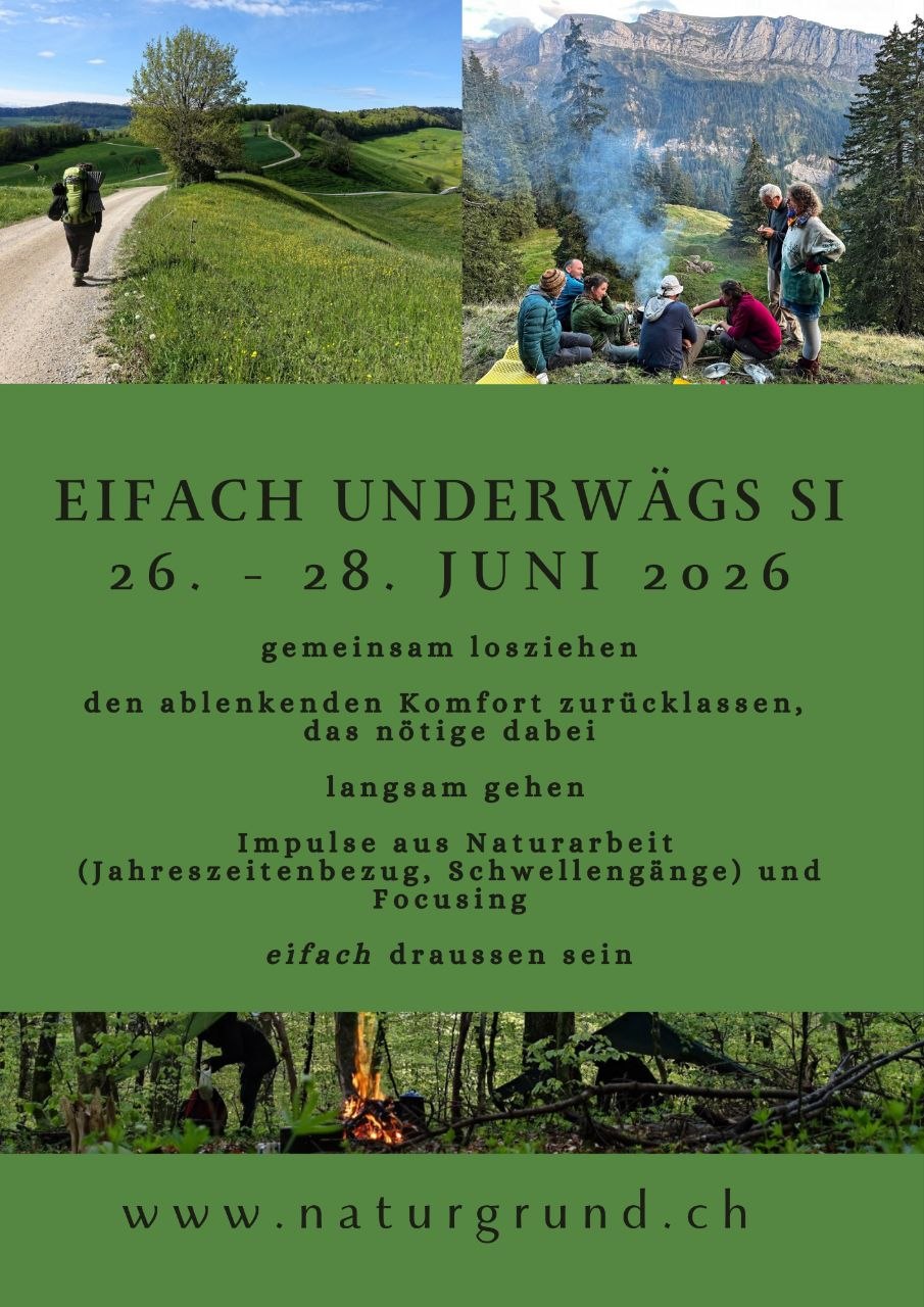eifach underwägs sii